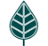 leaf icon