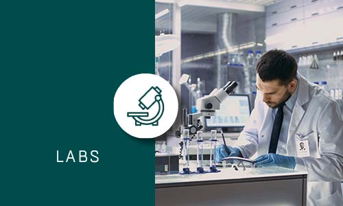 Labs with Green box and Icon